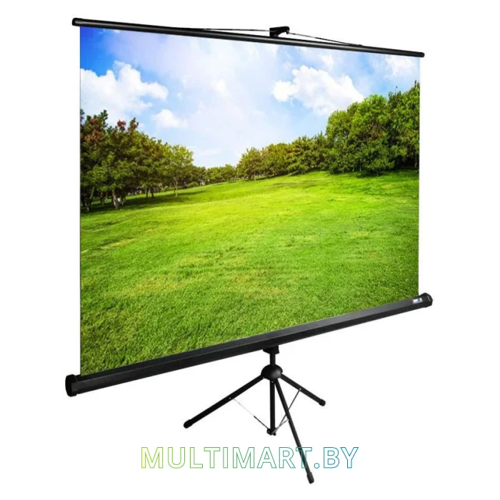 Проекционный экран CACTUS TriExpert 150x200 (CS-PSTE-200X150-BK)